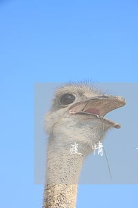 疫情 信用卡逾期 疫情 信用卡逾期
